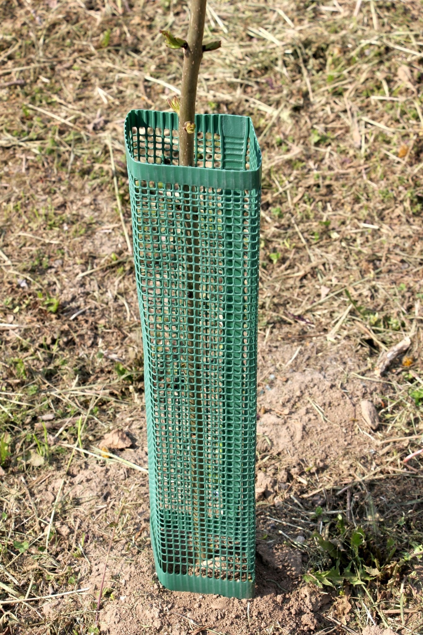 Shelter SilTech 120 – Shelter ad alta resistenza per impianti frutticoli e forestali - Diam. 120mm - Arbri Store