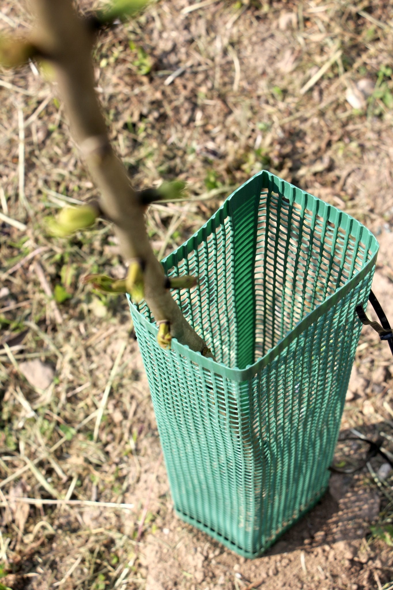 Shelter SilTech 120 – Shelter ad alta resistenza per impianti frutticoli e forestali - Diam. 120mm - Arbri Store