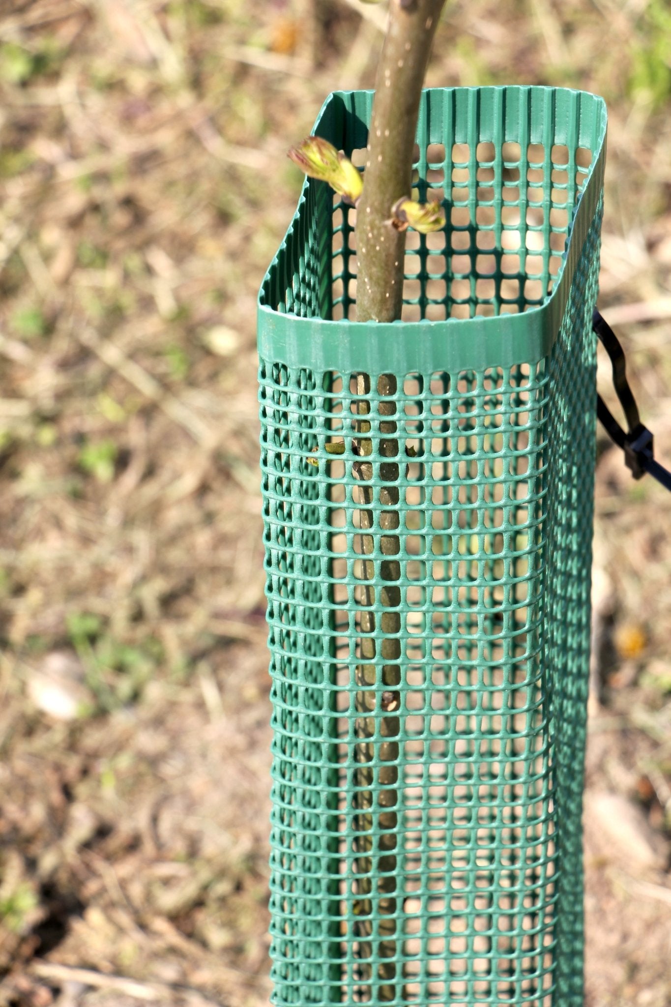 Shelter SilTech 120 – Shelter ad alta resistenza per impianti frutticoli e forestali - Diam. 120mm - Arbri Store