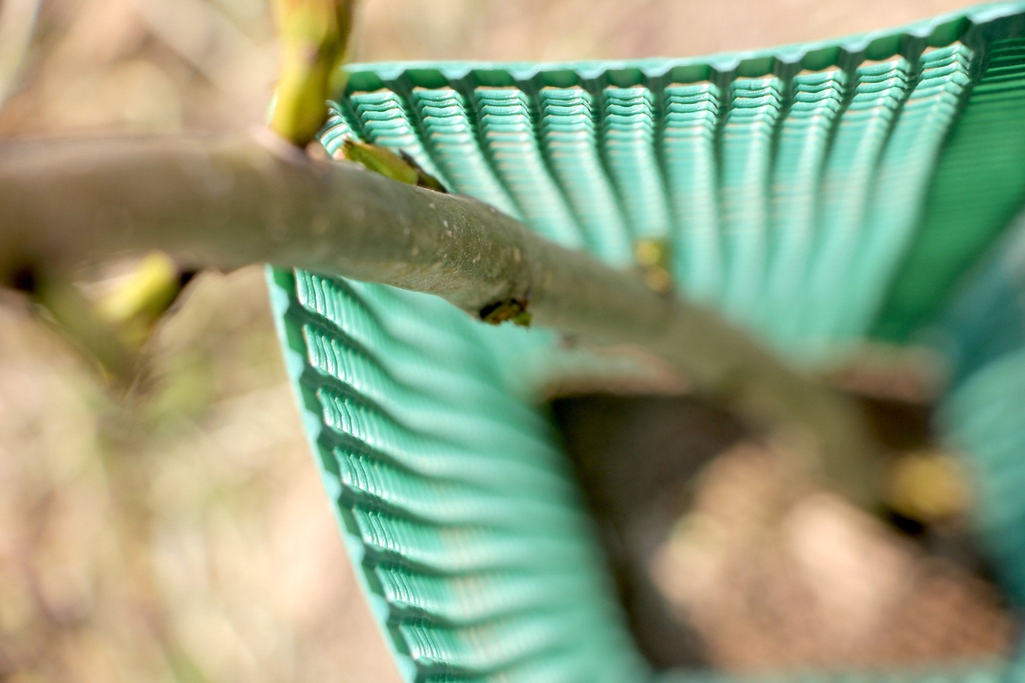 Shelter SilTech 120 – Shelter ad alta resistenza per impianti frutticoli e forestali - Diam. 120mm - Arbri Store