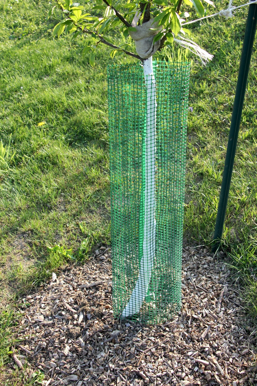 Shelter SilTech 200 – Rete tecnica ad alta resistenza per impianti forestali - Diam. 200mm