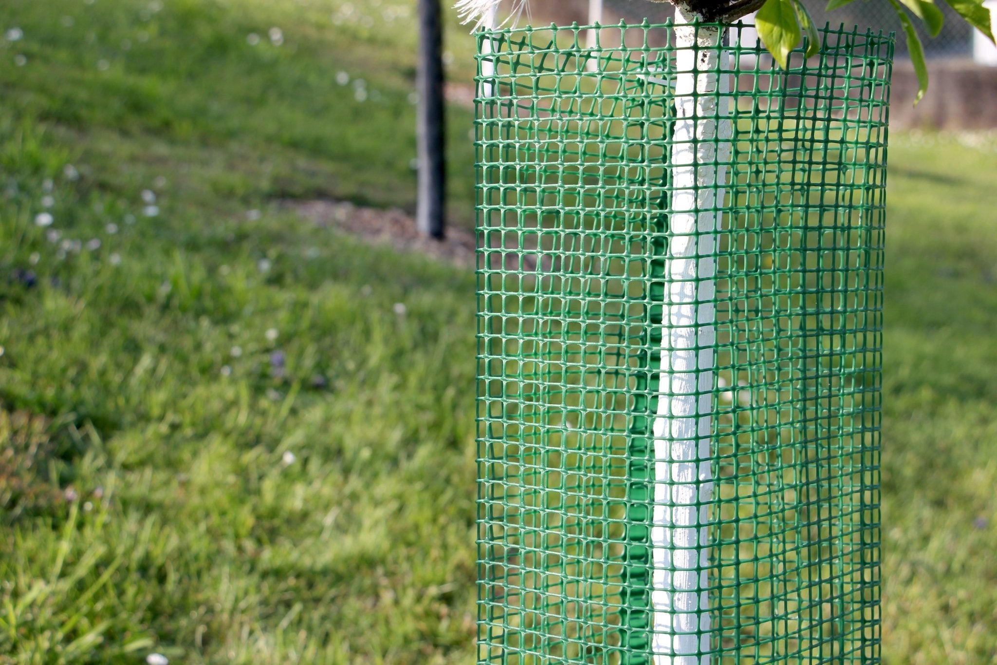 Shelter SilTech 200 – Rete tecnica ad alta resistenza per impianti forestali - Diam. 200mm - Arbri Store - Supporti per piante