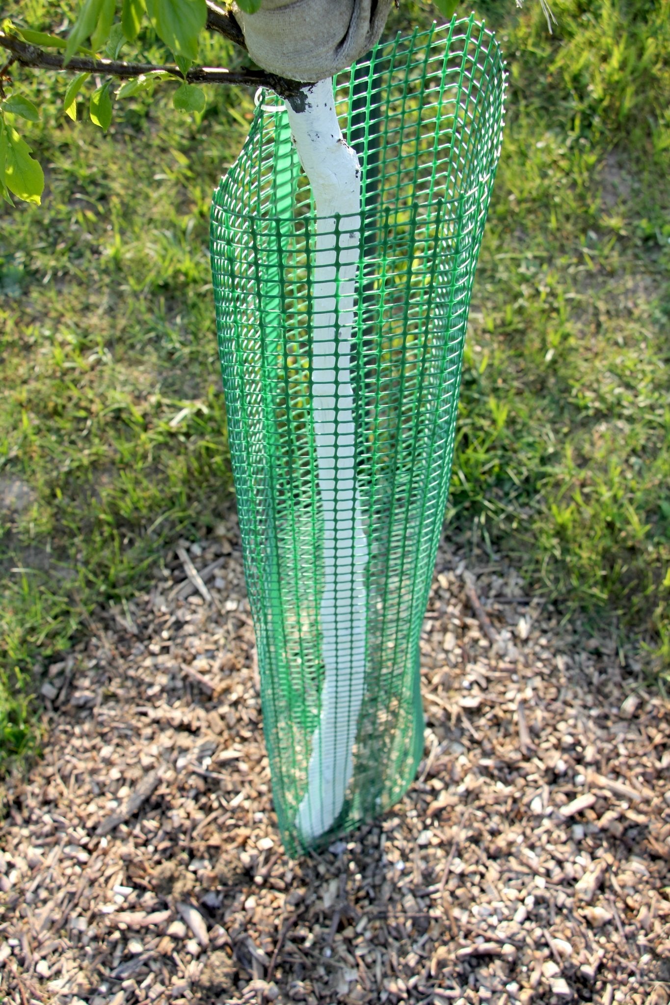 Shelter SilTech 200 – Rete tecnica ad alta resistenza per impianti forestali - Diam. 200mm - Arbri Store - Supporti per piante