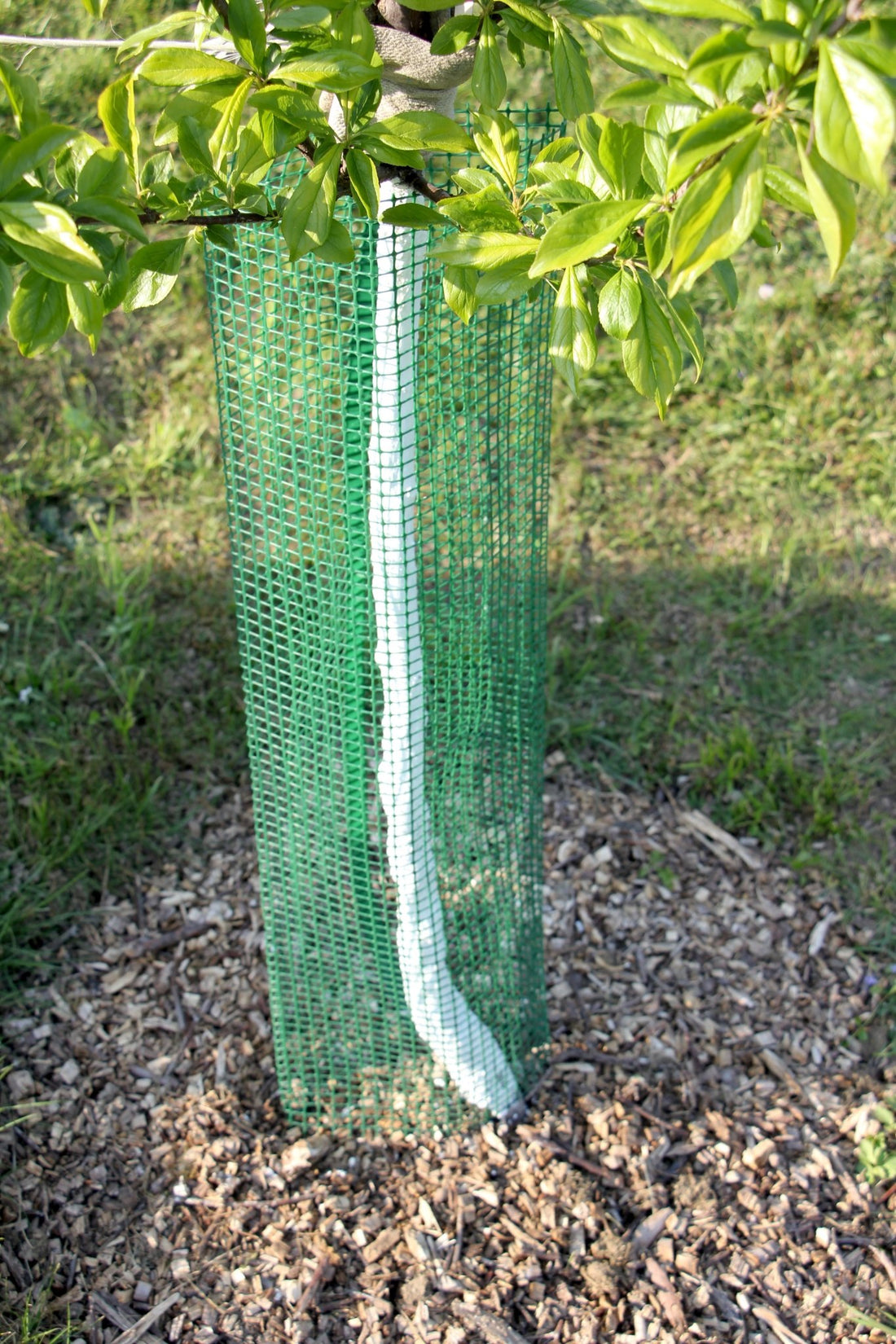 Shelter SilTech 200 – Rete tecnica ad alta resistenza per impianti forestali - Diam. 200mm - Arbri Store - Supporti per piante