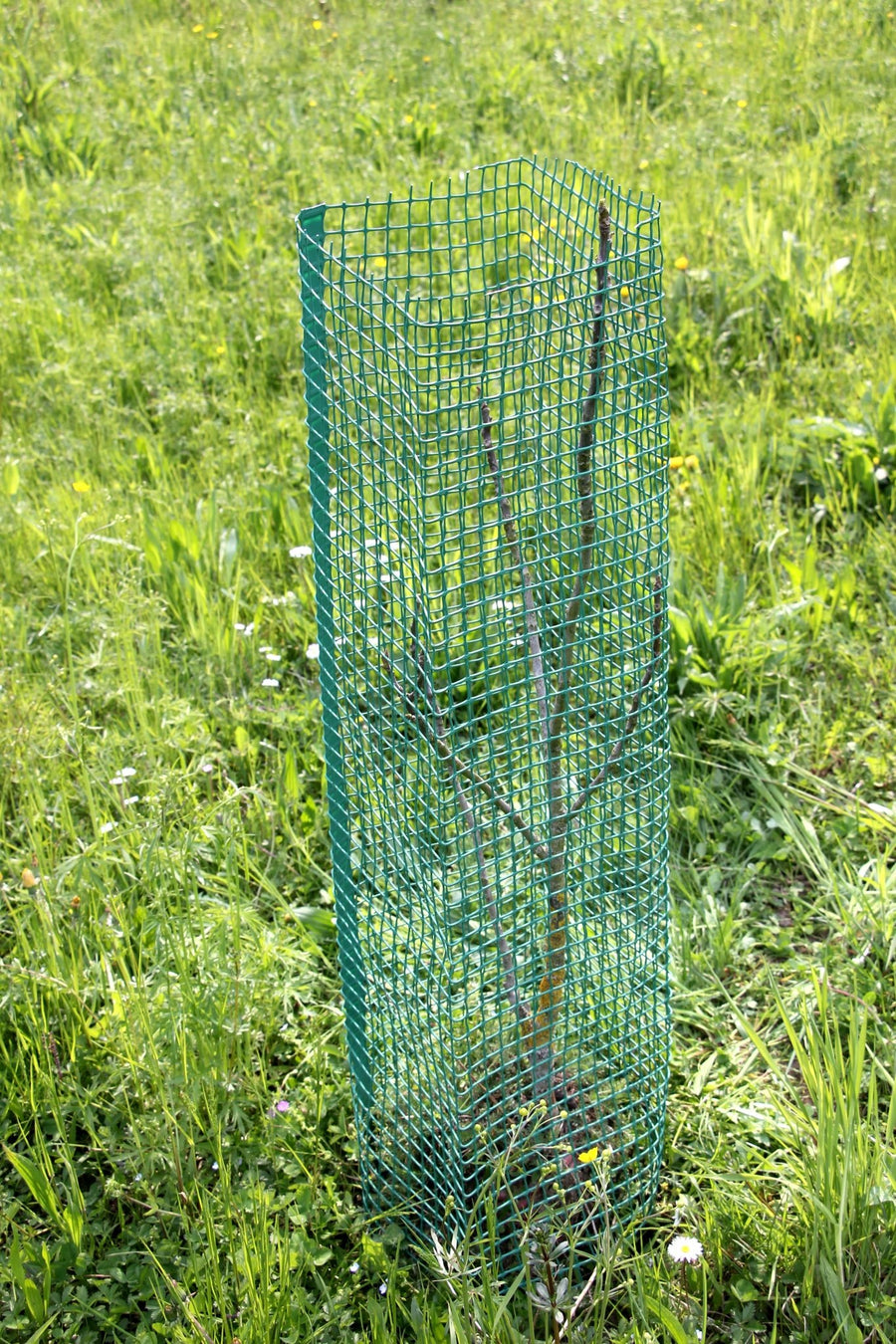 Shelter SilTech 300 – Shelter in rete ad alta resistenza per impianti forestali - Diam. 300mm