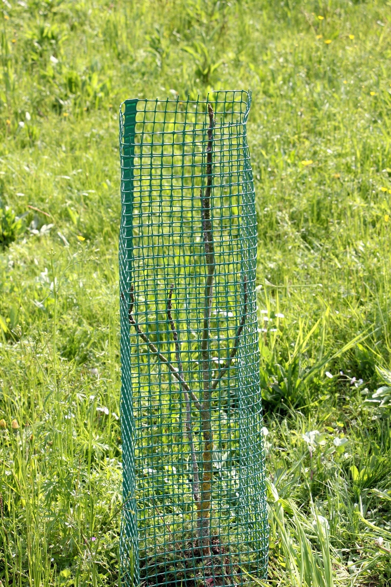 Shelter SilTech 300 – Shelter in rete ad alta resistenza per impianti forestali - Diam. 300mm - Arbri Store