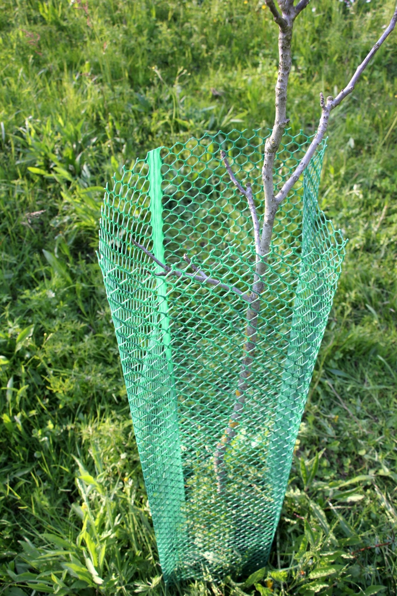 Shelter SilTech 300 – Shelter in rete ad alta resistenza per impianti forestali - Diam. 300mm - Arbri Store