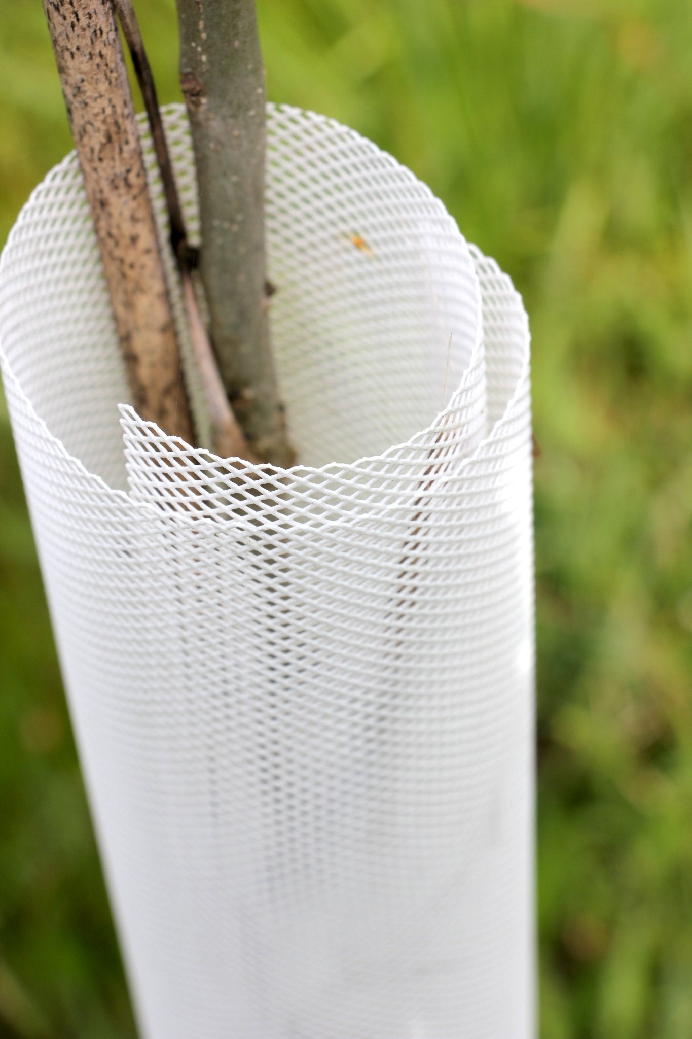 Shelter TRONX – Protezione Auto avvolgente per alberi da frutto - Arbri Store - Supporti per piante