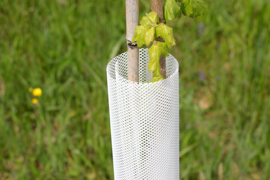 Shelter TRONX – Protezione Auto avvolgente per alberi da frutto