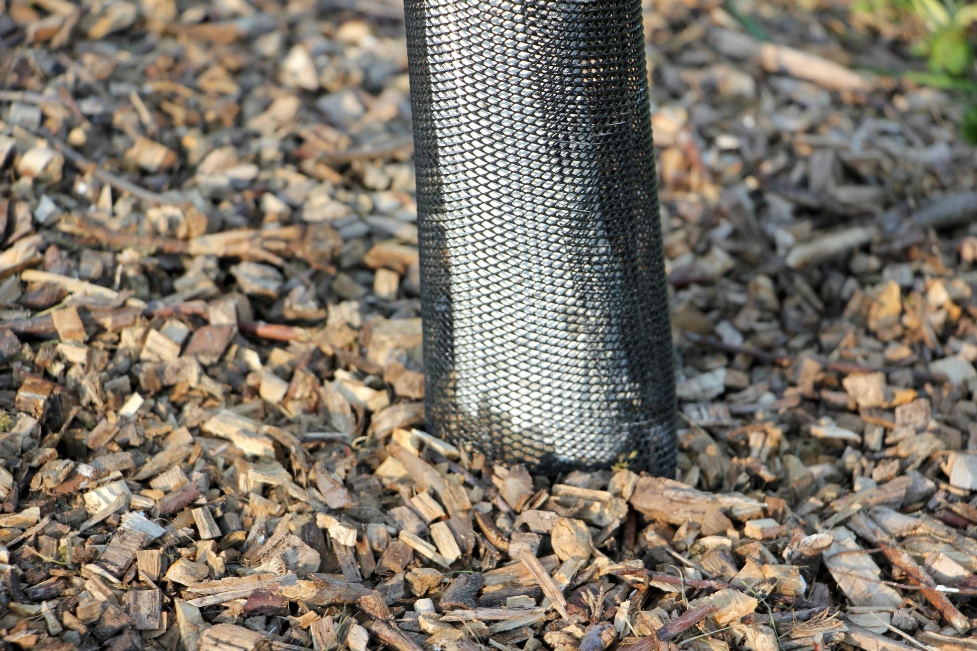 Shelter TRONX – Protezione Auto avvolgente per alberi da frutto - Arbri Store - Supporti per piante