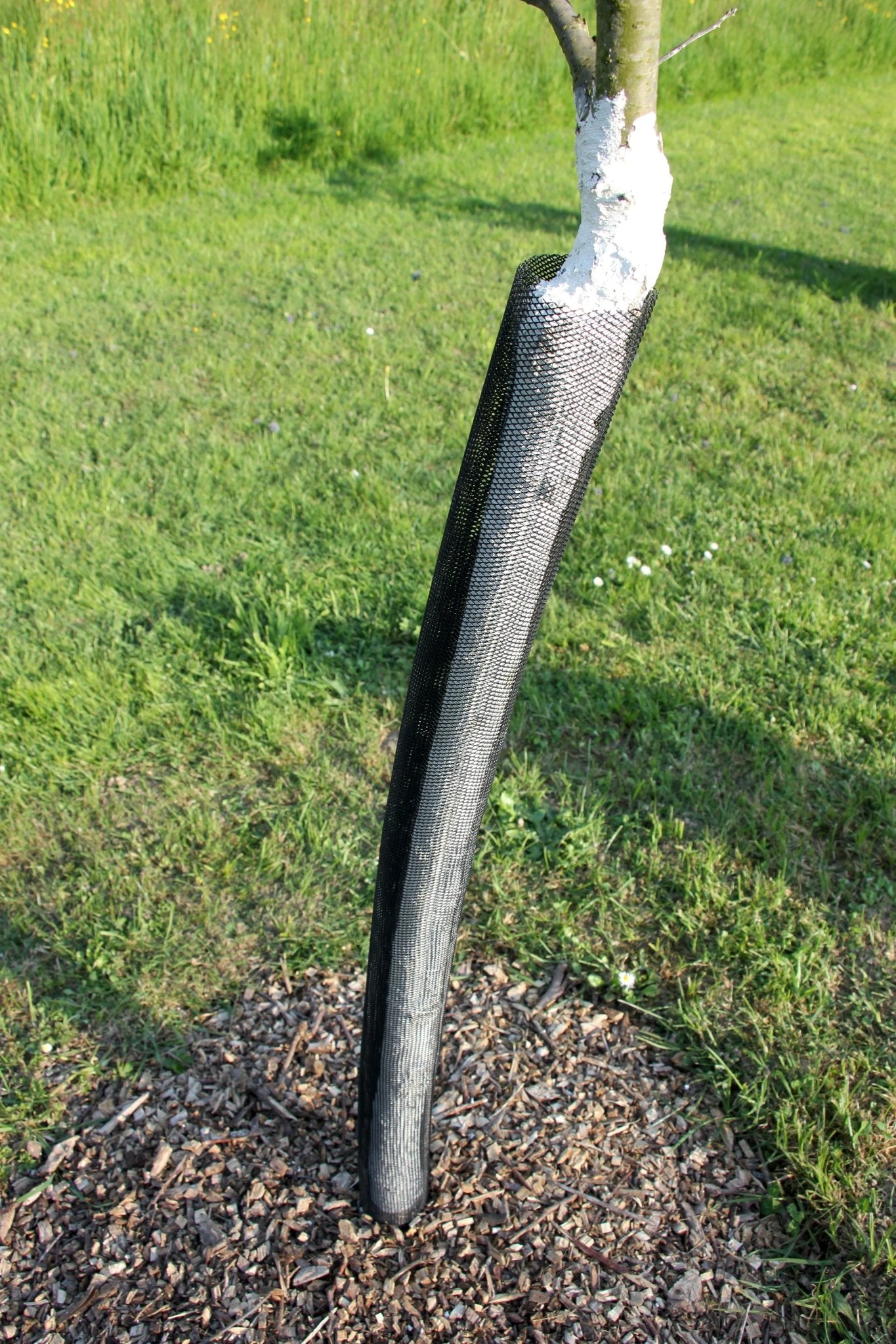 Shelter TRONX – Protezione Auto avvolgente per alberi da frutto - Arbri Store - Supporti per piante