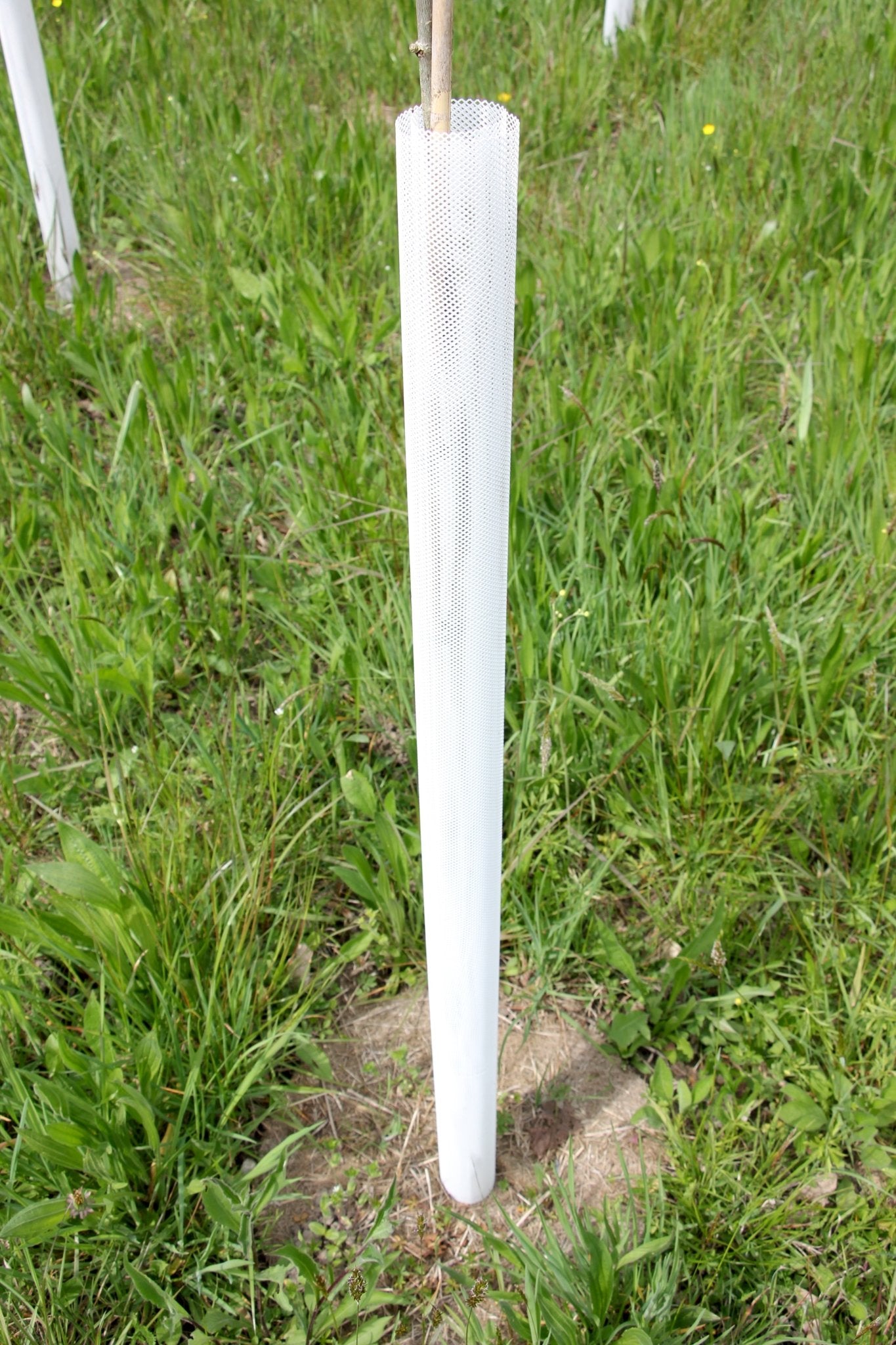 Shelter TRONX – Protezione Auto avvolgente per alberi da frutto - Arbri Store - Supporti per piante