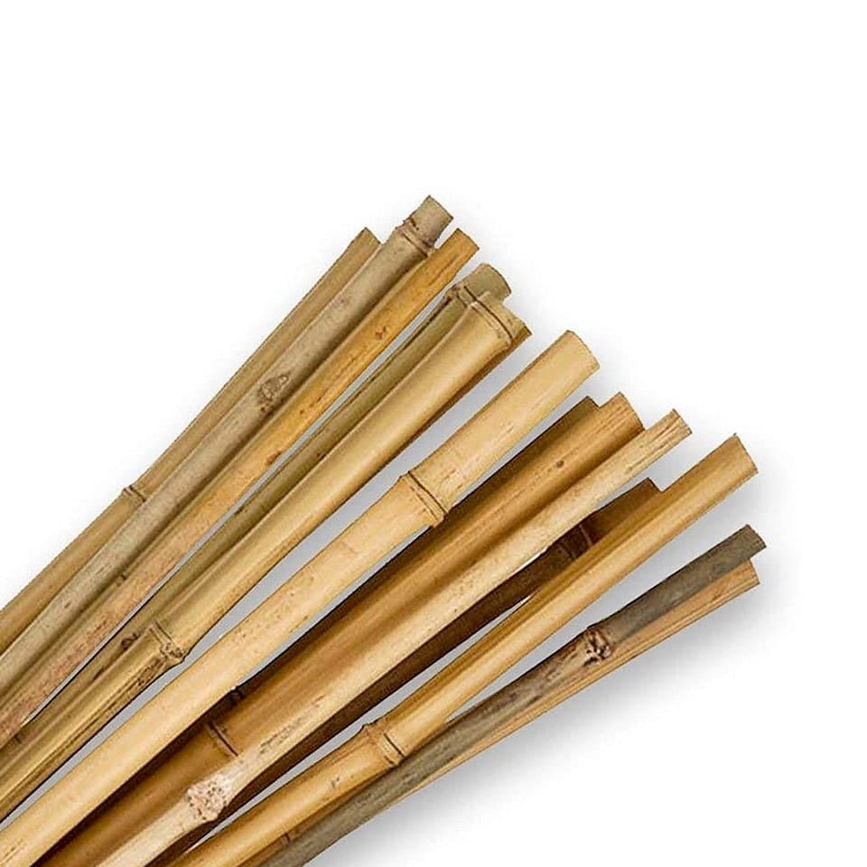 Tutori in Bamboo - Arbri Store - Supporti per piante