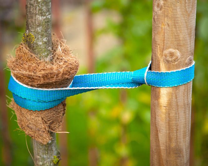 Tutori in Pino torniti - Arbri Store - Supporti per piante