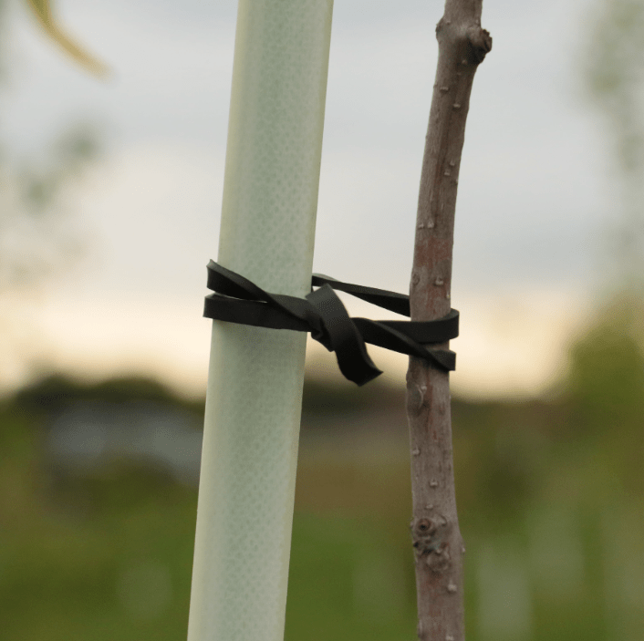 Tutori in Poliestere e Fibra di Vetro - Arbri Store - Supporti per piante