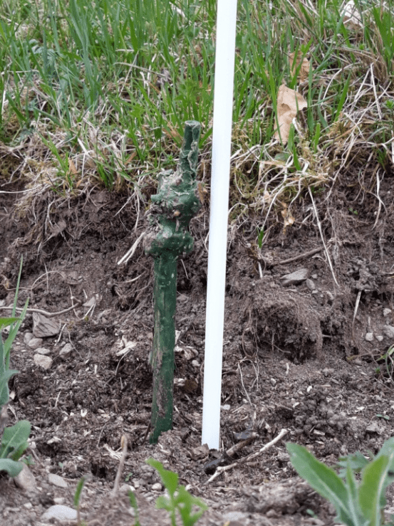 Tutori in Poliestere e Fibra di Vetro - Arbri Store - Supporti per piante