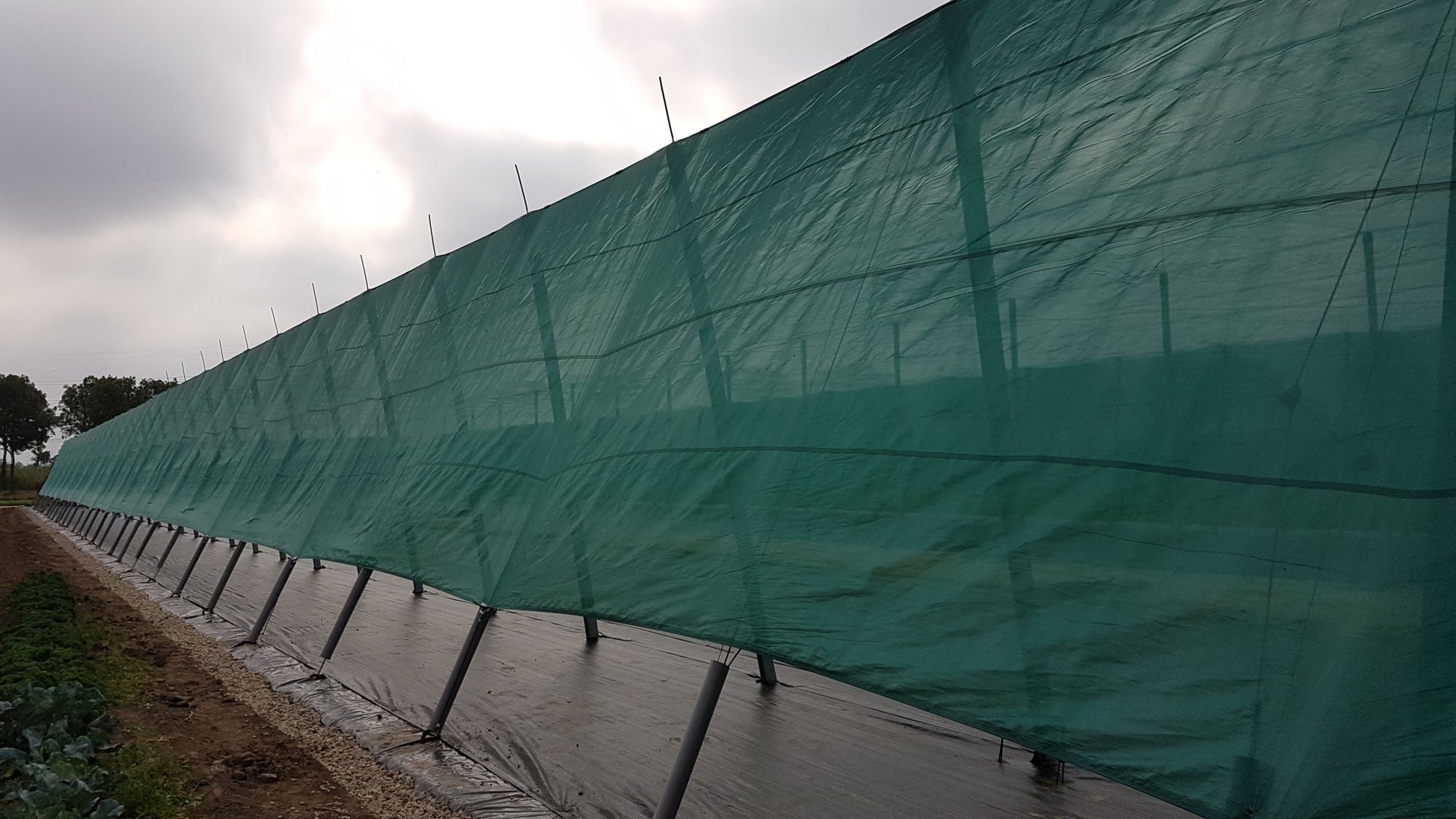 WindNet – Rete frangivento per frutteto, vigneto e vivaio - Arbri Store - Rete frangivento