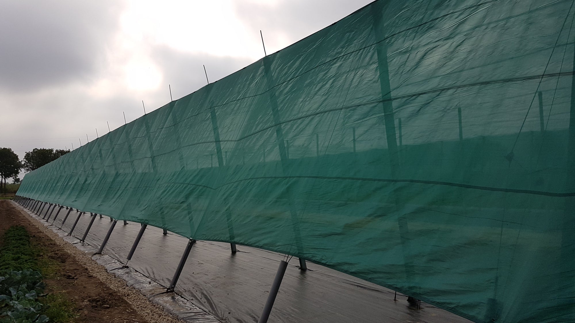 WindNet – Rete frangivento per frutteto, vigneto e vivaio - Arbri Store - Rete frangivento