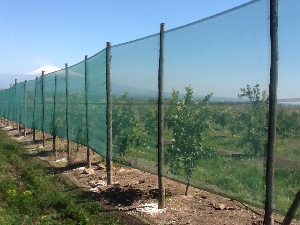 WindNet – Rete frangivento per frutteto, vigneto e vivaio - Arbri Store - Rete frangivento