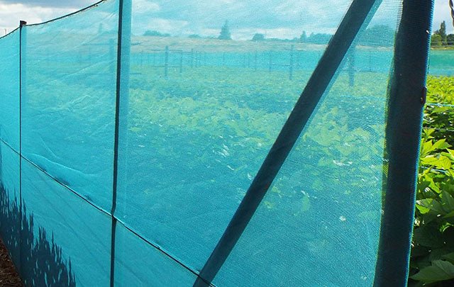 WindNet – Rete frangivento per frutteto, vigneto e vivaio - Arbri Store - Rete frangivento